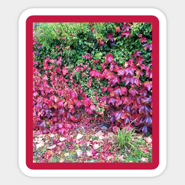 Red and Green Autumn Sticker TeePublic